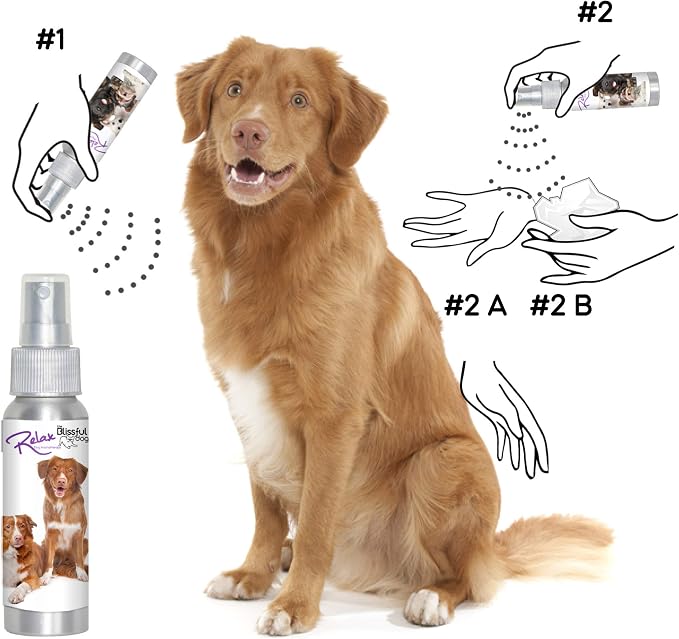 The Blissful Dog Nova Scotia Duck Tolling Retriever Relax Dog Aromatherapy Spray for Your Dog's Anxiety