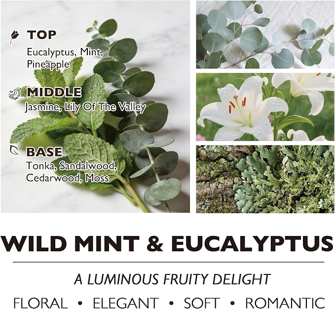 HomeLights Scented Candles - Large Jar Aromatherapy, Natural Soy Wax, 130 Hour Long Burning, Wild Mint & Eucalyptus