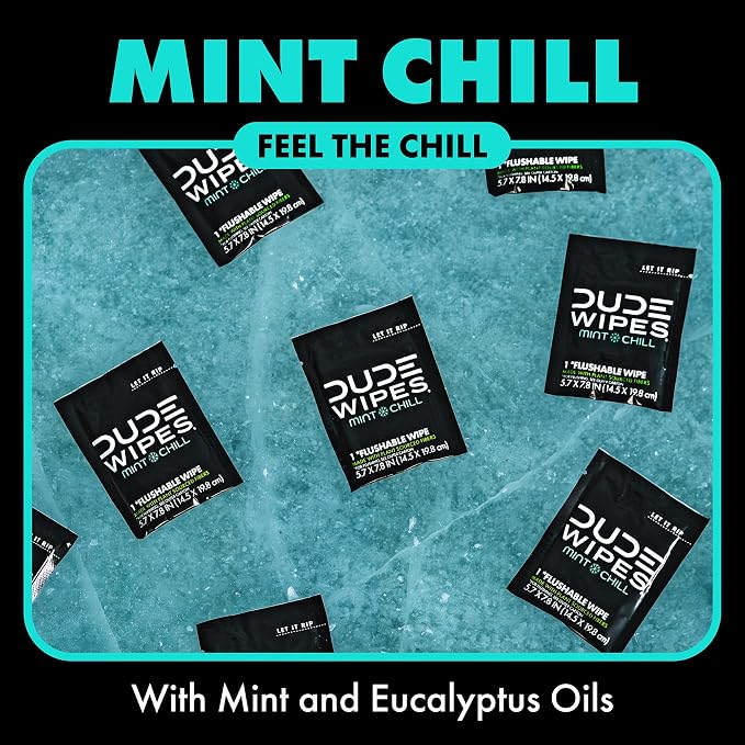 DUDE Wipes On-The-Go Mint Chill Travel Wipes-Extra-Large Adult Flushable Wipes - Infused with Tea Tree Oil, Vitamin E, and Aloe - Septic and Sewer Safe,30 Count (Pack of 4)