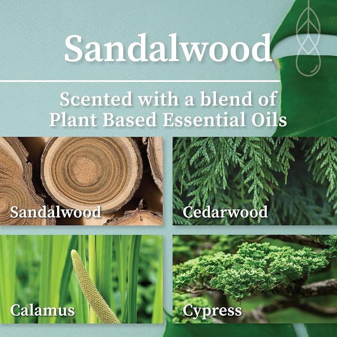 Hemlock Park Sandalwood Apothecary Scented Candle | Crackling Wood Wick, Botanical Fragrance & Coconut Apricot Wax | Up to 80 Hour Burn Time | 16 oz | Made in USA