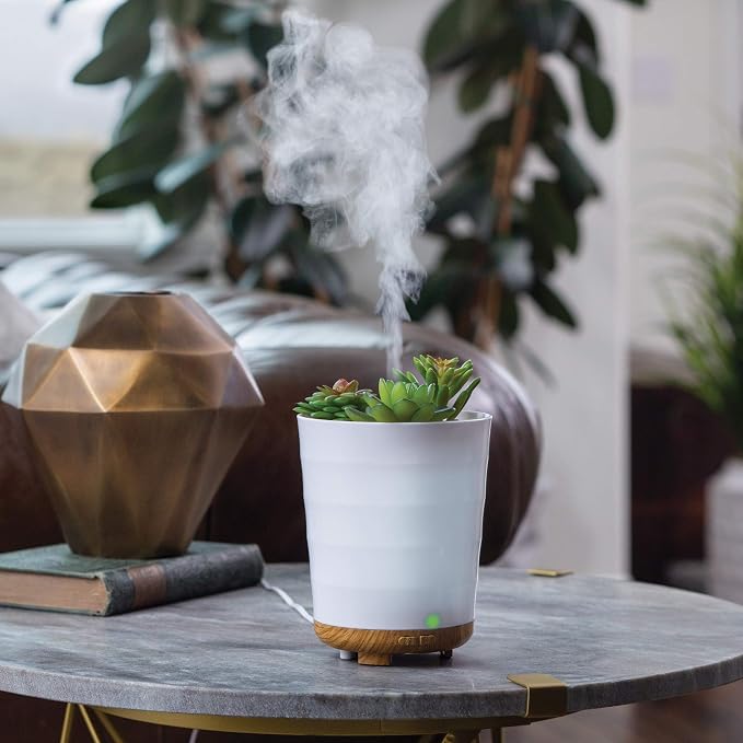 Airome Potted Succulent Medium Essential Oil Diffuser|100 mL Humidifying Ultrasonic Aromatherapy Diffuser 8 Colorful LED Lights, Intermittent & Continual Mist, Auto Shut-Off, White