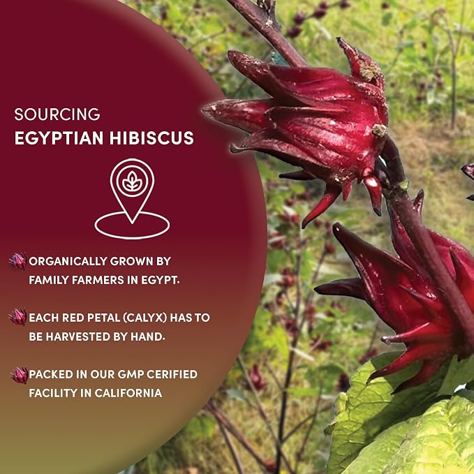 Worldwide Botanicals Organic Hibiscus Tea – 8 oz, Loose Leaf, Cut and Sifted – 100% Egyptian Hibiscus sabdariffa AKA Karkade, Roselle, Sorrel, Zobo, Flor de Jamaica