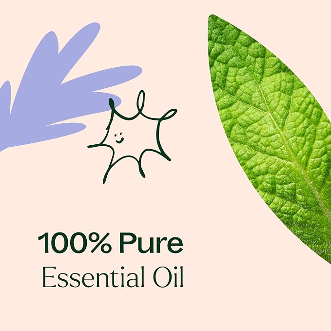 Plant Therapy Respir Aid Essential Oil Blend, 10 mL (1/3 oz), Sinus, Airway and Congestion Clearing Oil Blend, 100% Pure and Undiluted, Natural Aromatherapy