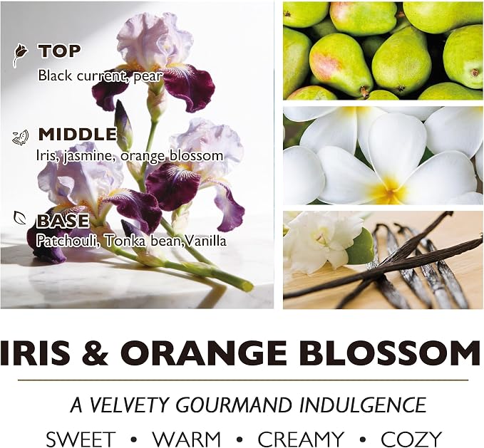 HomeLights Scented Candles | Large Jar Candle-33.3 Oz. Natural Soy Aromatherapy Candles | Up to 130 Hours Burn Time with 3 Cotton Wicks, Home Decorative Fragrance Candle Gift - Iris & Orange Blossom