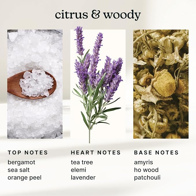Homedics SereneScent White Sage & Moss Fragrance Oil 15ml | Herbal Woody Blend with Bergamot, Sea Salt & Lavender | USDA Biobased Essential Oil Diffuser Scent | Waterless Cold Air