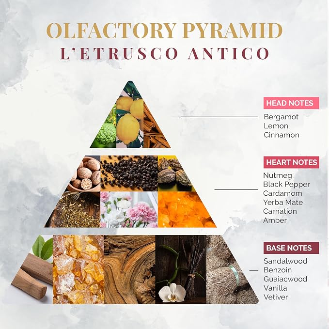 Logevy Firenze 1965 L’Etrusco Antico – The Ancient Etruscan Luxury Home Fragrance Diffuser Refill from Master Perfumer in Italy with Spicy & Woody Notes in Clear PET Bottle – 500ml
