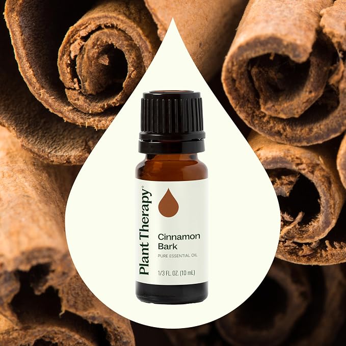 Plant Therapy Cinnamon Bark Essential Oil 10 mL (1/3 oz) 100% Pure, Undiluted, Cinnamon Oil for Diffuser, Spray, Candle Making, Spicy, Sweet Scent