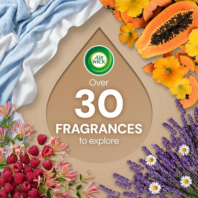 Air Wick Vibrant Plug-In Scented Oil Refills, 10 Count, Sweetgrass & Sandalwood, Air Freshener, Essential Oils, Eco Friendly