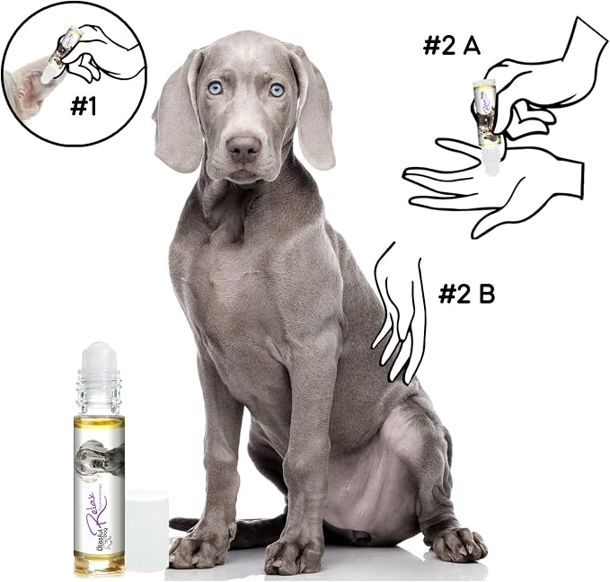 The Blissful Dog Weimaraner Relax Roll-ON Aromatherapy for Dogs - Anxiety Relief for Dogs