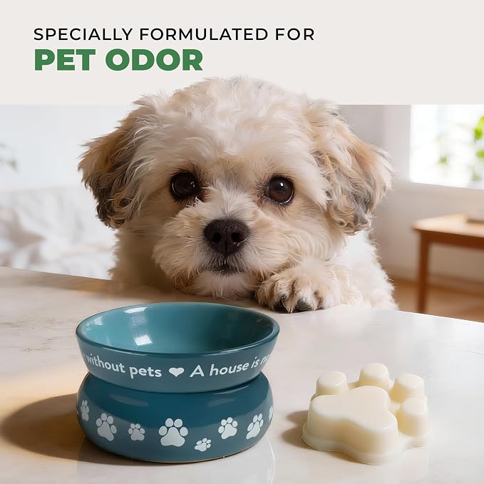 One Fur All Pet House Spring and Summer Wax Melts for Pet Odor, Natural, Plant Based Soy Wax Melts, Long Lasting Fragrance for Fresh Smelling Homes, Cucumber Mint