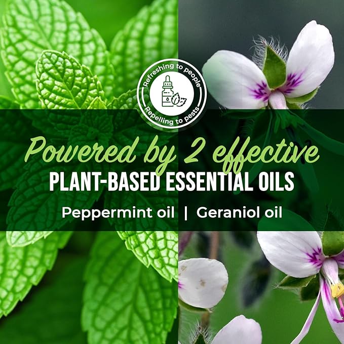 Mighty Mint Peppermint Oil Spider Repellent Spray with Microfiber Cloth – Indoor & Outdoor Bug Control for Spiders and Insects – Plant-Based, Extra-Strong Formula - 16 oz
