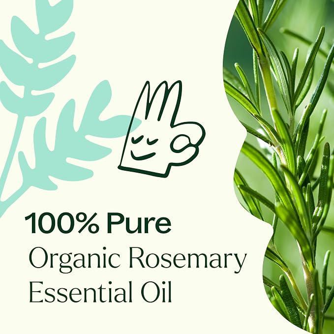 Plant Therapy Organic Rosemary Essential Oil 100 mL (3.3 oz), 100% Pure, USDA Certified Organic, Undiluted, Natural Aromatherapy, for Healthy Hair
