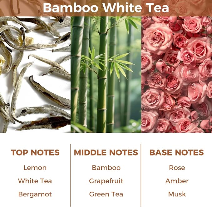 Bamboo White Tea Reed Diffuser Set,Oil Diffuser with 6 Reed Sticks,3.38 fl.oz(100ml),Long-Lasting Home Fragrance for Living Room,Bedroom,Bathroom,Office