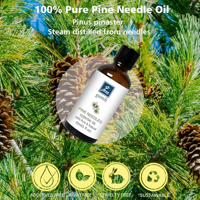 GM Gumili Pine Needle Essential Oil 1 Oz - 100% Pure & Natural Pine Oil for Diffuser, Skin, Massage & Aromatherapy - Fresh Pinus Essential Oils Fragrance