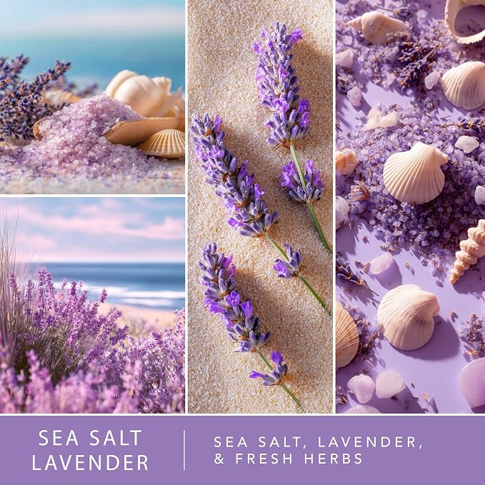 ScentSationals Sea Salt Lavender Fragrance Oil Plug In Air Freshener Refills 3-Pack - Works with Scentsationals Wall Plugs, Long-Lasting Home Fragrance, 0.8 fl oz Each, Packaging May Vary