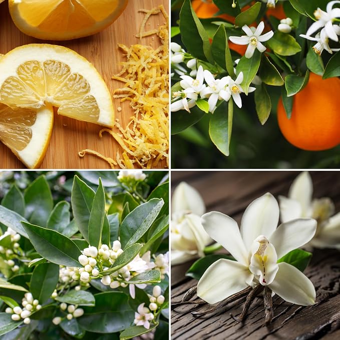 House of Velas, Aroma from Nature Wellness Collection Candle, 12 oz, 2 Cotton Wicks, Neroli Blossom, Large Painted Jar