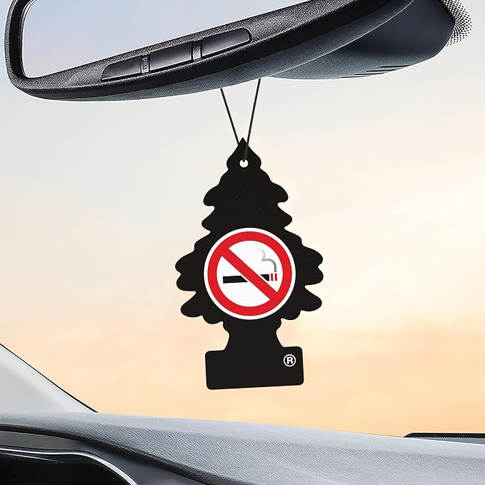 LITTLE TREES Car Air Freshener | Hanging Tree Provides Long Lasting Scent for Auto and Home | 24 Air Fresheners |No Smoking