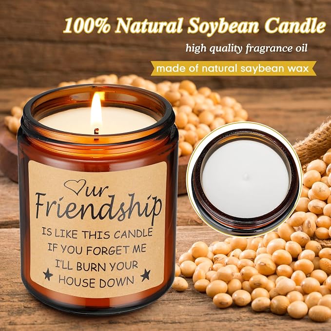 Funny Gifts for Friends,Gifts for Best Friend Women Men,Christmas Gifts for Friends,Funny Birthday Gifts for Friend,Friendship Gifts for Women Candles Gift (Friendship)