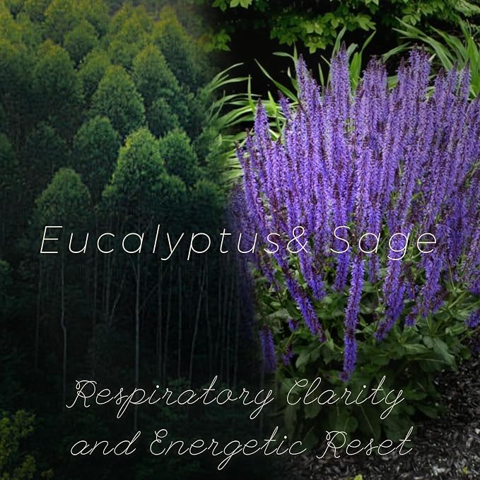 Eucalyptus & Sage Soy Scented Candles for Home- 5.3oz 35H Natural Soy Wax Aromatherapy Jar Candle with Strong Scent, Decorative Aesthetic Candles for Relax, Meditation, Bathroom, Luxury Gift for Women