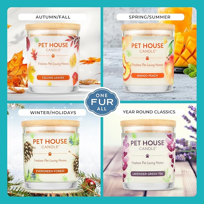 Pet House Candles, Plant-Based, Clean Burning, Long Lasting Pet Friendly Candles for Home - Mediterranean Sea, 2 Pack