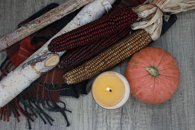 PERIPETI Home Pumpkin Ginger Scented Candle, Wooden Wick – 8.5oz Natural Soy Wax for Energizing Aromatherapy, Long-Lasting Burn with a Cozy Fall Scent