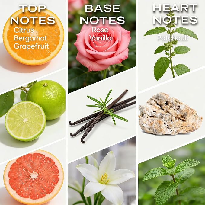 Citrus Luxe Diffuser Oil – Luxury Hotel-Inspired Essential Oils for Diffusers Aromatherapy – Fragrance Oil Blend – Home Essentials for Bedroom, Living Room & Bathroom – 30ml