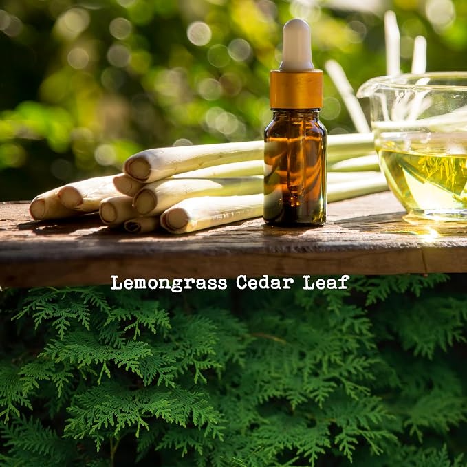 100% Soy, Highly Scented, Hand Poured Soy Candle (Lemongrass Cedar Leaf)