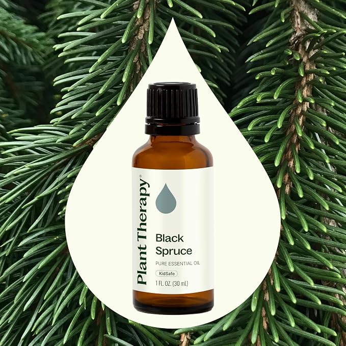 Plant Therapy Black Spruce Essential Oil 30 mL (1 oz) 100% Pure, Undiluted, Aromatherapy, Respiratory Support, Sore Muscle Relief