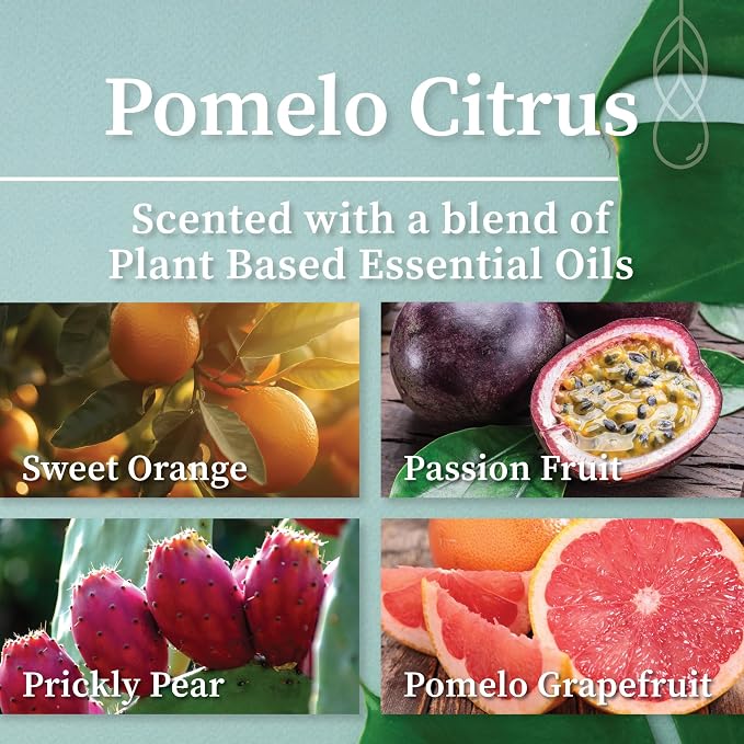 Hemlock Park Pomelo Citrus Apothecary Scented Candle | Crackling Wood Wick, Botanical Fragrance & Coconut Apricot Wax | Up to 80 Hour Burn Time | 16 oz | Made in USA