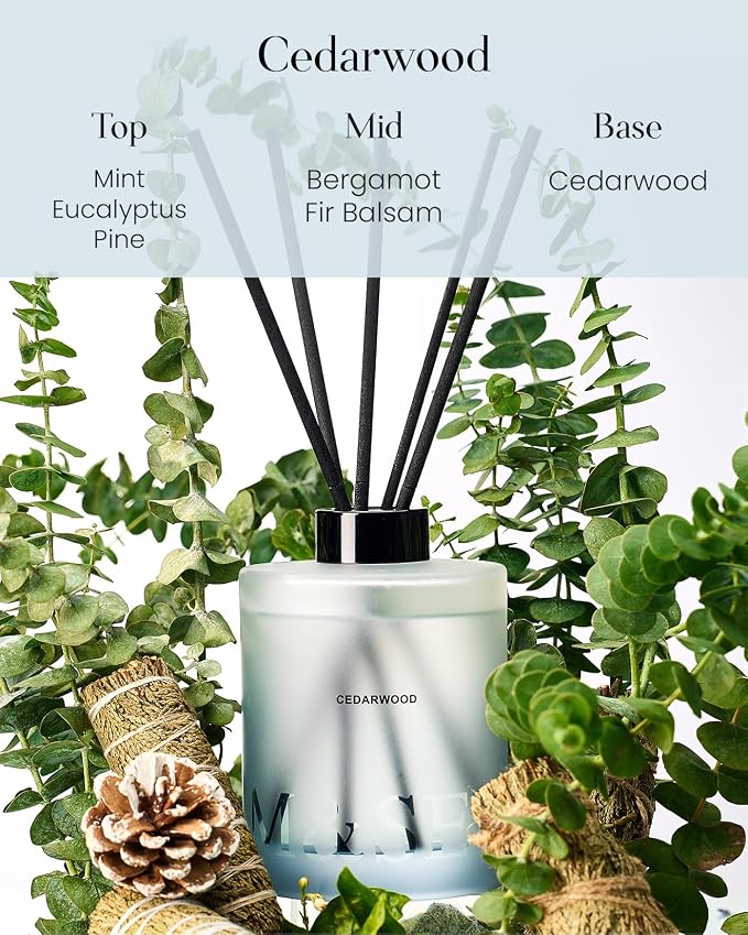 M&SENSE Cedarwood Reed Diffuser Set - 16.9 fl oz Large Room Scented Diffuser with Sticks, Long-Lasting Non-Toxic Home Fragrance Gifts for Bedroom, Bathroom & Office