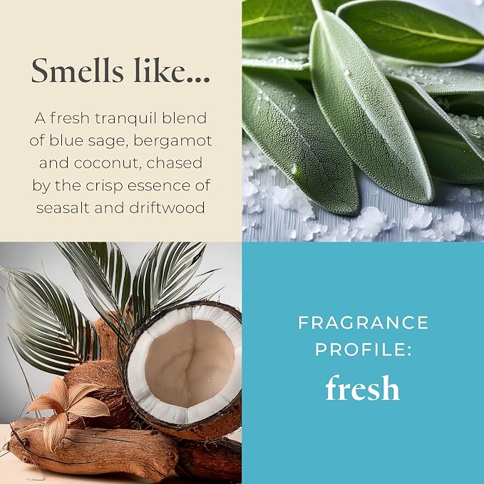 PartyLite Sea Salt & Sage Scented Escential Jar™ Candle, with Notes of Salted Air, Sea-Soaked Sage, Driftwood, Coconut and Sandalwood, 7.75oz 1-Wick Aromatherapy Reusable Glass Jar, 50 Hr Burn Time