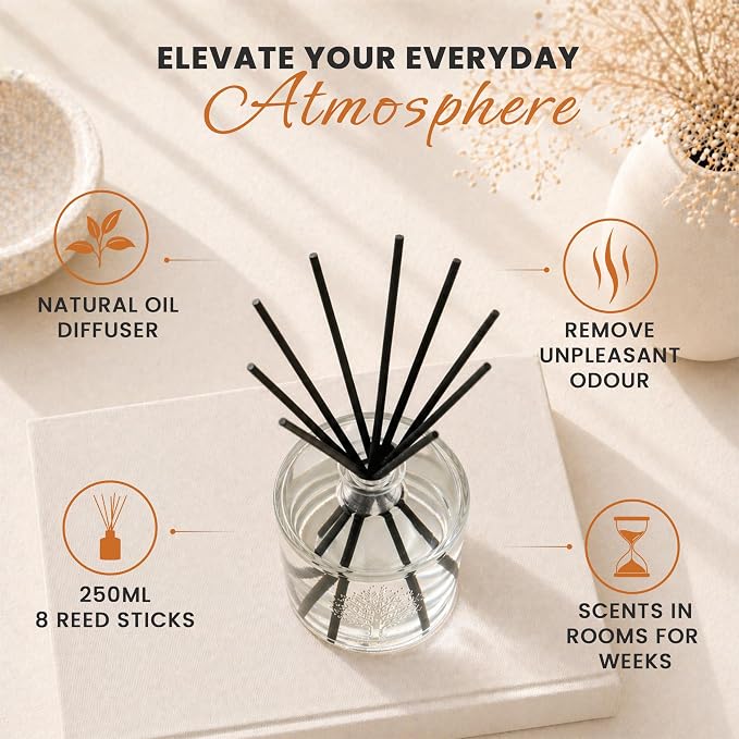 Wavertree & London Natural Persimmon & Red Currant Scented Reed Diffuser - Long Lasting Aromatherapy Air Freshener with Sticks | 250ml Glass Bottle, 6 Months Scent Life