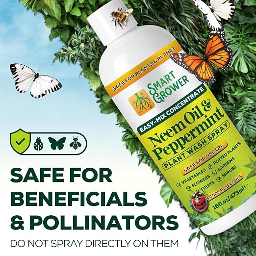 Neem Oil Spray for Plants with Peppermint Oil – for Indoor & Outdoor Plants, Gardens, & Houseplants– Best Value Refill 16 oz Concentrate Makes 2 Gallon RTU