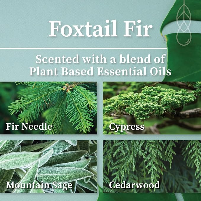Hemlock Park Foxtail Fir Apothecary Scented Candle | Crackling Wood Wick, Botanical Fragrance & Coconut Apricot Wax | Up to 80 Hour Burn Time | 16 oz | Made in USA
