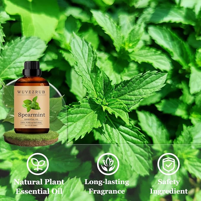 Spearmint Essential Oils 120ML, Pure Spearmint Essential Oil for Aromatherapy Diffuser - 4 Fl Oz