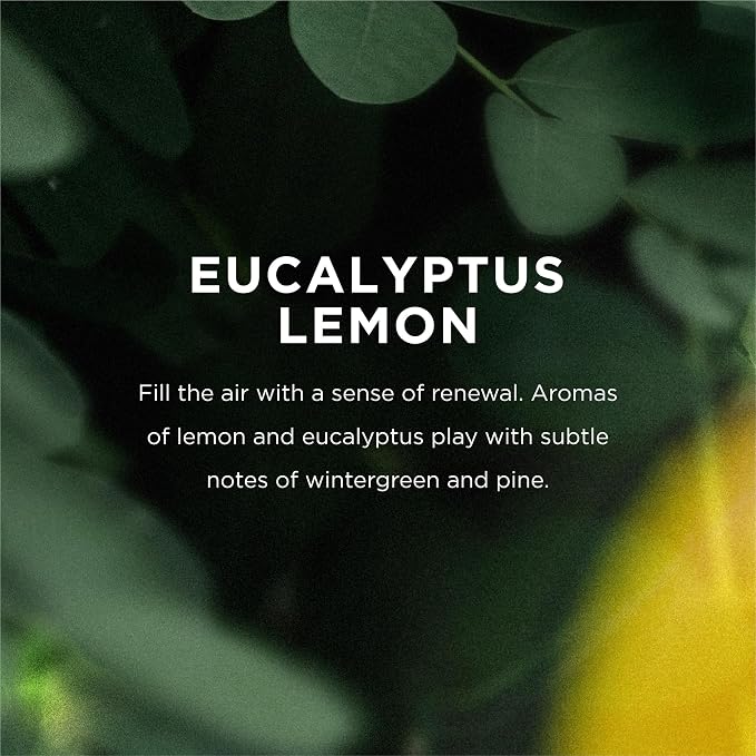Eo, Bubble Bath Eucalyptus Lemon, 12 Fl Oz