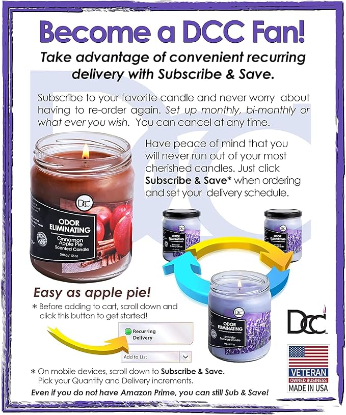 Cranberry Punch Odor Eliminating Highly Fragranced Candle - Eliminates 95% of Pet, Smoke, Food, and Other Smells Quickly - Up to 80 Hour Burn time - 12 Ounce Premium Soy Blend