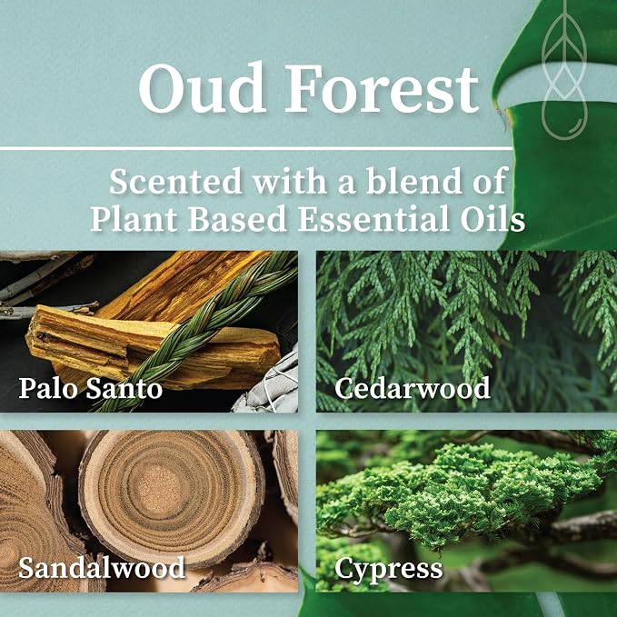 Hemlock Park Oud Forest Apothecary Scented Candle | Crackling Wood Wick, Botanical Fragrance & Coconut Apricot Wax | Up to 60 Hour Burn Time | 8 oz | Made in USA