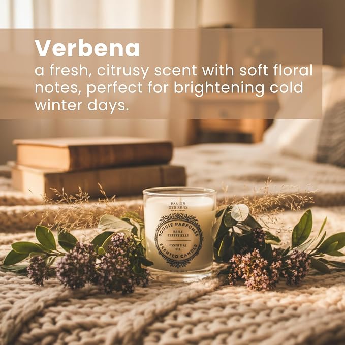 Panier des Sens Lemon Verbena Candle - Hand-Poured in Provence, France - Long Lasting Scented Candles - up to 55 Hours Burn Time - Lemon Verbena Scented Candle - 100% Natural Cotton Wick - 6.3 oz