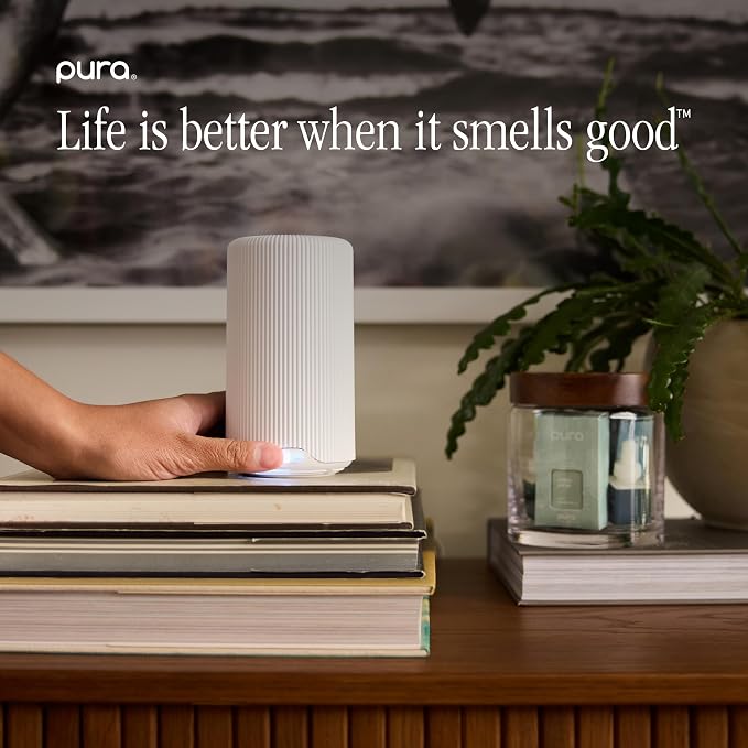 Pura Smart Home Scent Refill - Long-Lasting Premium Fragrance per Refill - Clean Diffuser Fragrance for Home, Office & Apartment - 2 Pack, Simmer Pot