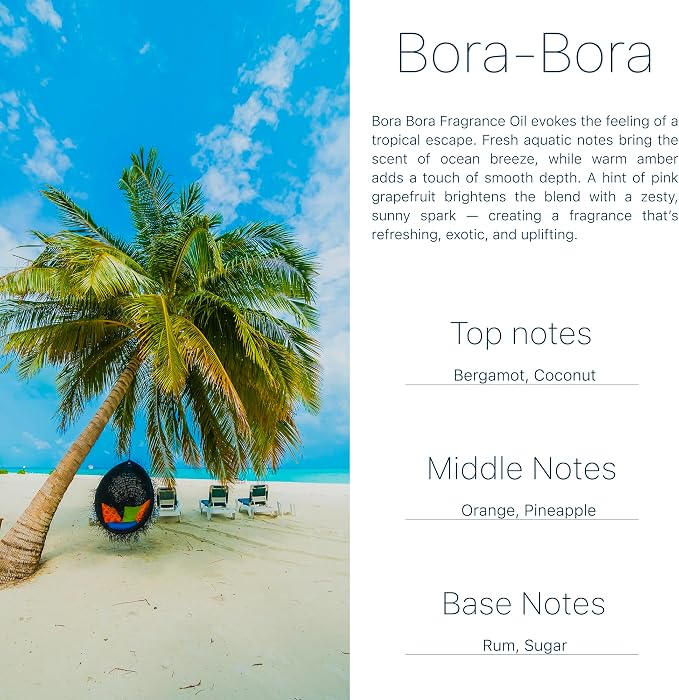 Car Air Freshener Tropical Bora-Bora 2 Pack Coconut Hanging Air Freshener Diffuser, Cute Car Accessories Air Freshner for Women & Men Gift Non-Toxic Car Scent Long Lasting Oil Diffuser Made in USA