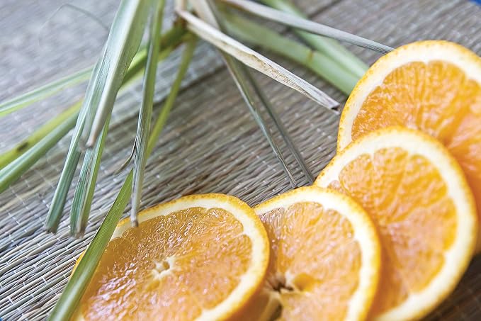 Root Candles Scented Candles Honeycomb Beeswax Blend Premium Handcrafted Candle, Small Veriglass, Tangerine Lemongrass