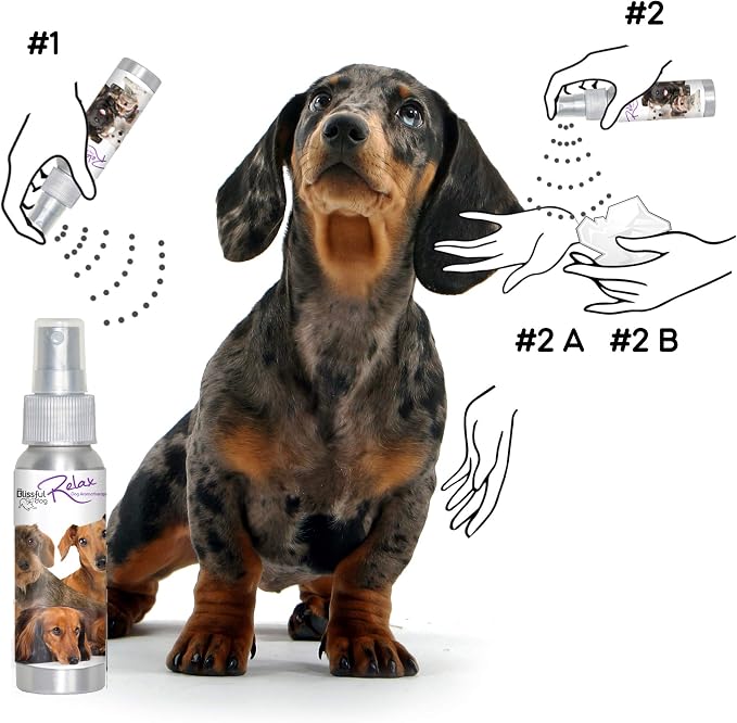 The Blissful Dog Dachshund Relax Dog Aromatherapy Spray for Your Dog's Anxiety