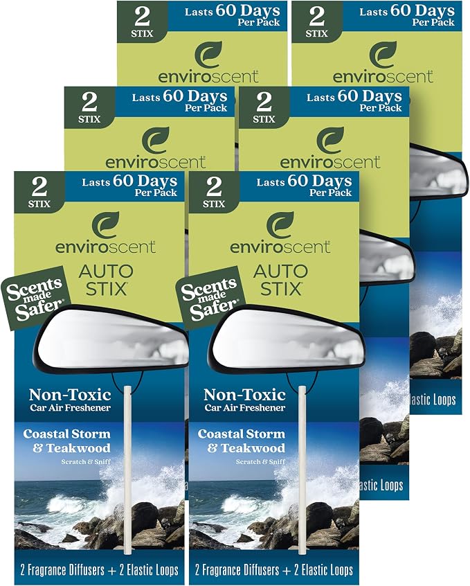 Enviroscent Auto Stix 6ct - Coastal Storm & Teakwood 2pc