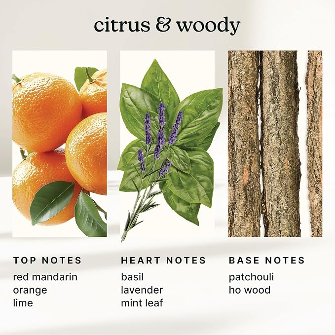 Homedics SereneScent Waterless Diffuser Oil Refill — Mandarin Basil (120ml). Bright & Refreshing Home Fragrance. Compatible with SereneScent Diffusers. Easy Twist Plug & Play