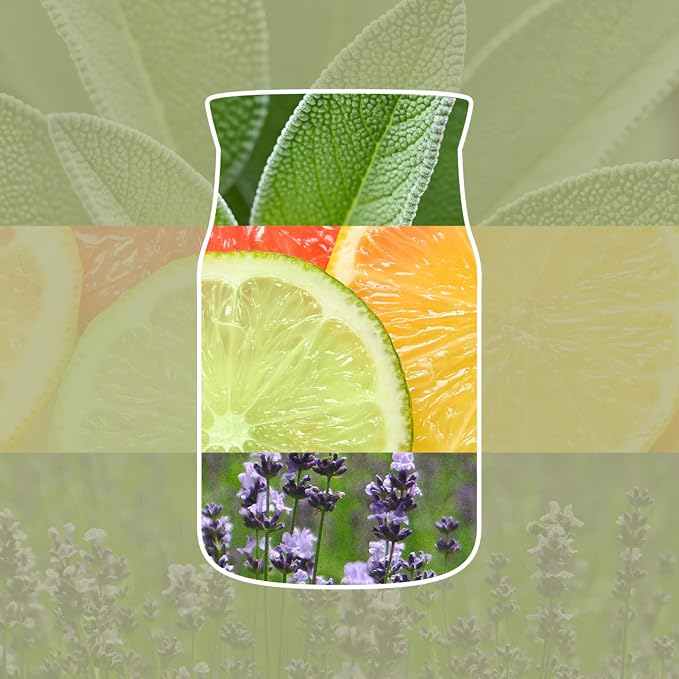 Yankee Candle Reed Diffuser Refill | Sage & Citrus | for Small to Medium Spaces | Up to 10 Weeks of Fragrance