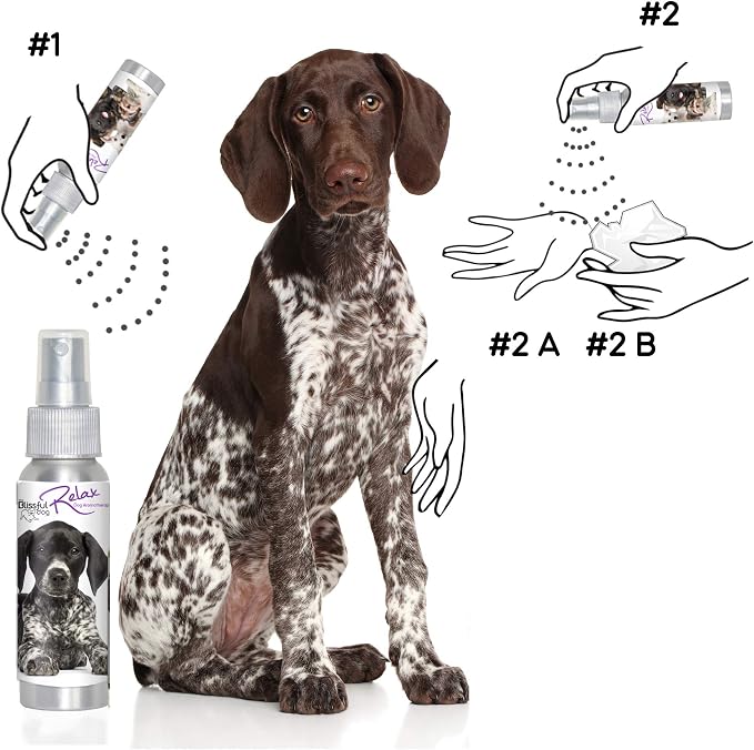 The Blissful Dog German Shorthaired Pointer Relax Dog Aromatherapy Spray for Your Dog's Anxiety