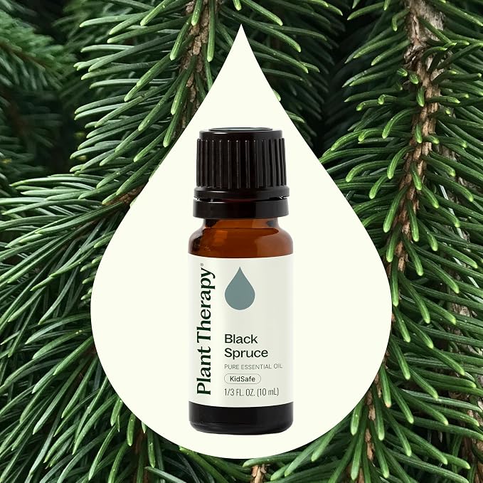 Plant Therapy Black Spruce Essential Oil 10 mL (1/3 oz) 100% Pure, Undiluted, Aromatherapy, Respiratory Support, Sore Muscle Relief