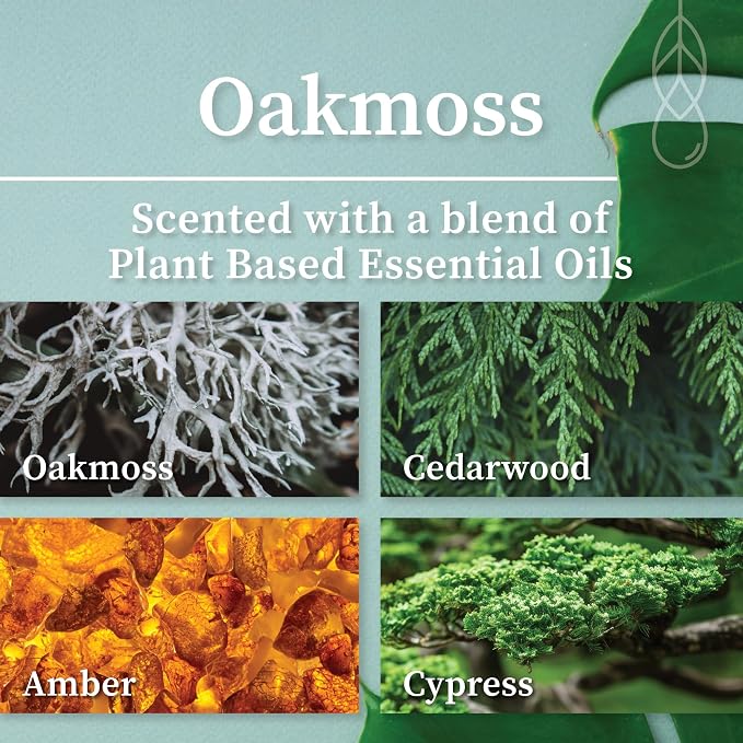 Hemlock Park Oakmoss Apothecary Scented Candle | Crackling Wood Wick, Botanical Fragrance & Coconut Apricot Wax | Up to 60 Hour Burn Time | 8 oz | Made in USA