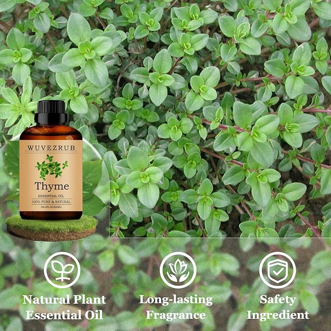 Thyme Essential Oils 240ML, Pure Thyme Essential Oil for Aromatherapy Diffuser - 8 Fl Oz